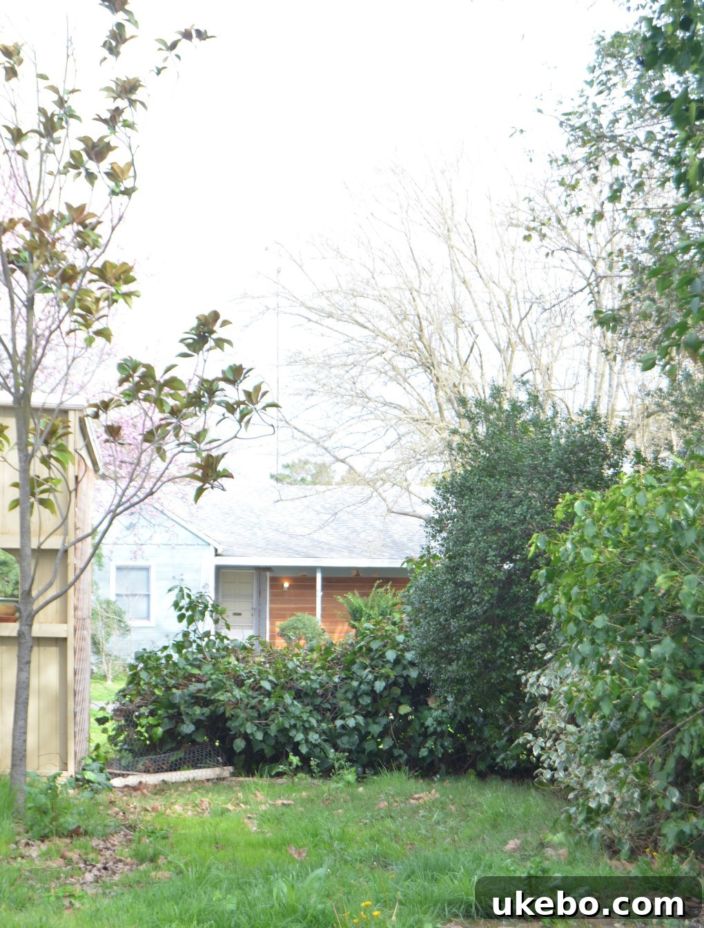 Another angle of the old, open backyard perimeter facing the street.