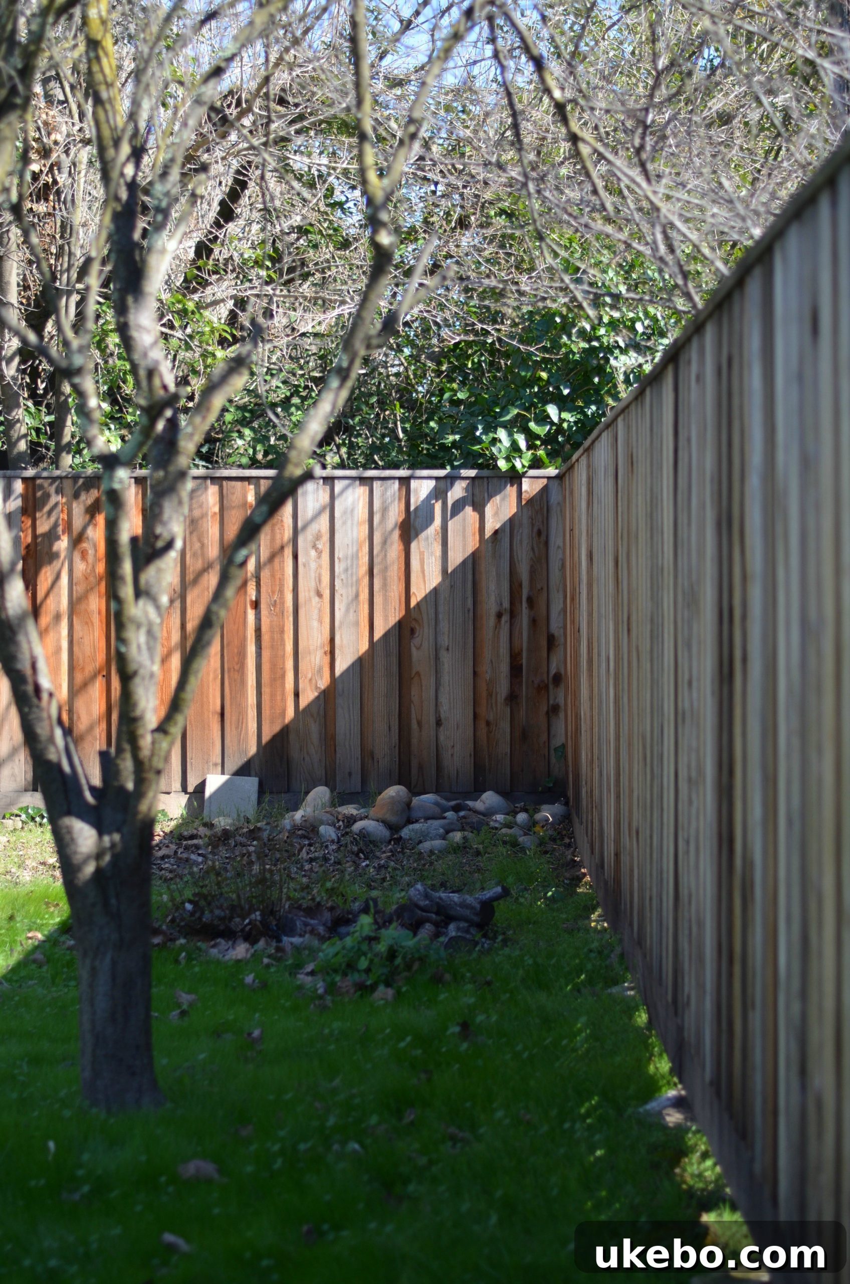 A pristine section of the new redwood fence, demonstrating superior craftsmanship.