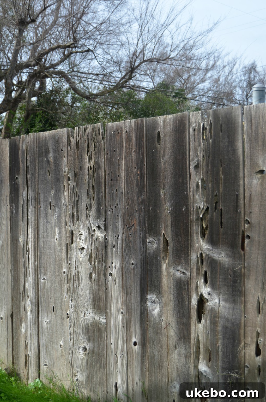 Dilapidated old fence panels, showing signs of decay and instability.