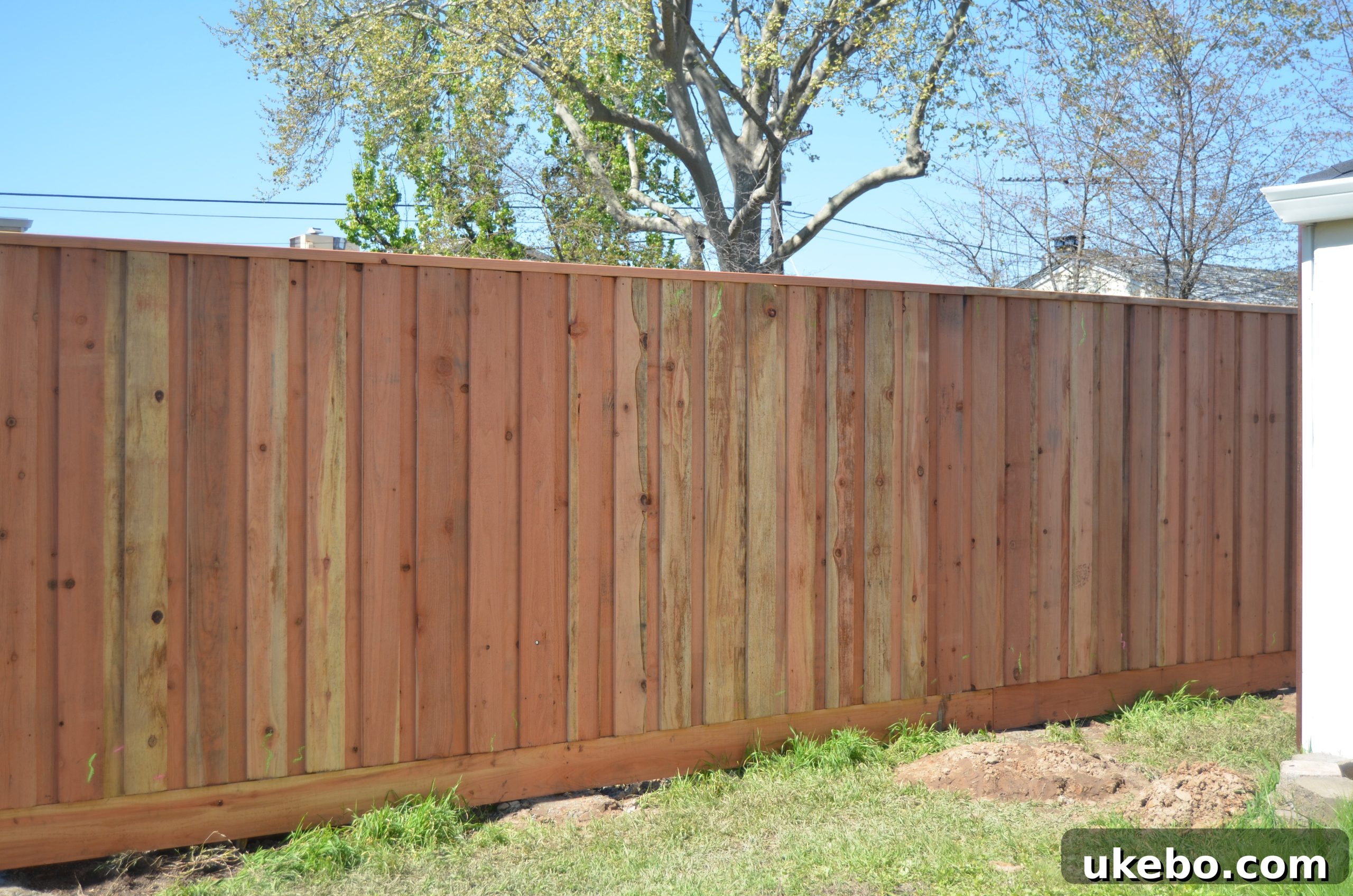 Panoramic view of the newly installed redwood fence bordering the backyard.