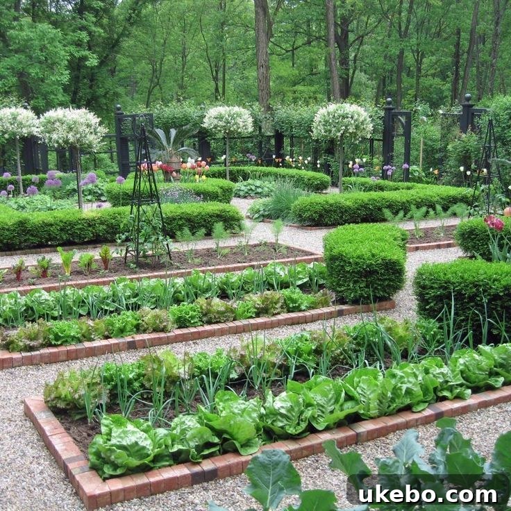 Moroccan Potager Vision: Phase One Blueprint 2 Potager Garden Design
