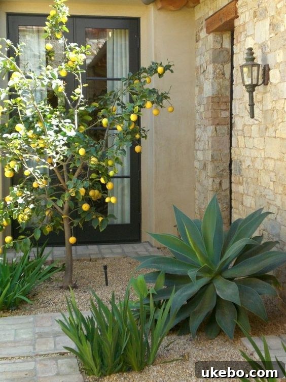 French Potager Garden Inspiration
