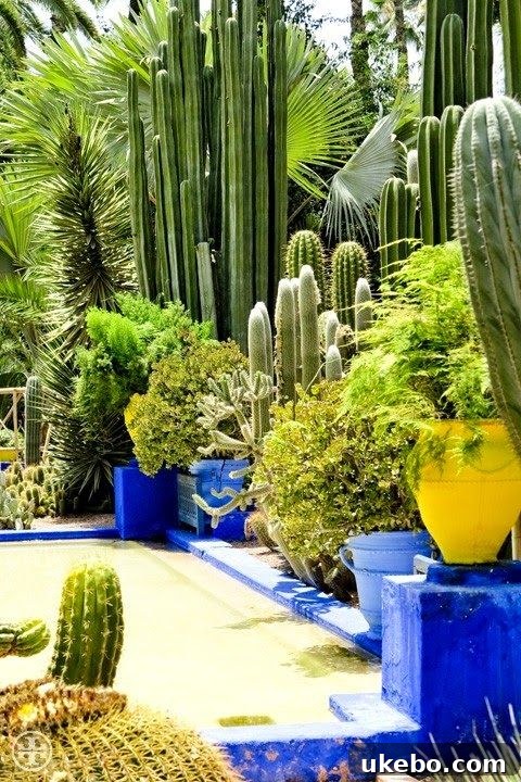 Moroccan Potager Vision: Phase One Blueprint 6 Moroccan Garden Elements