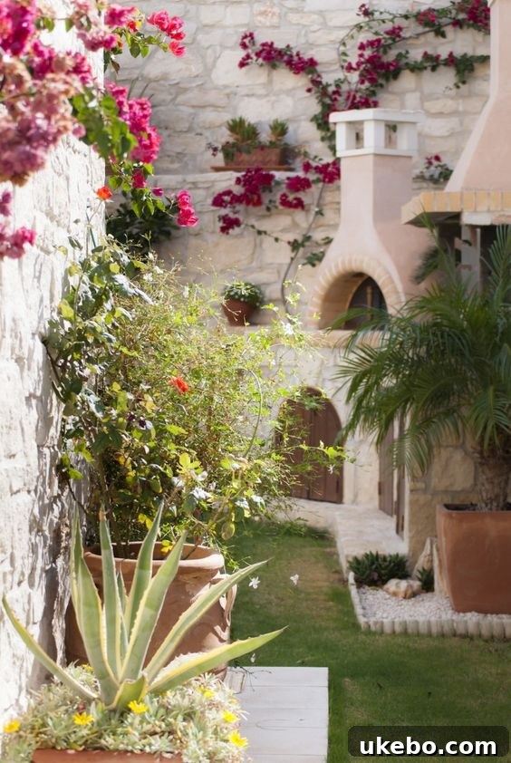 Moroccan Potager Vision: Phase One Blueprint 7 Garden Design Inspiration