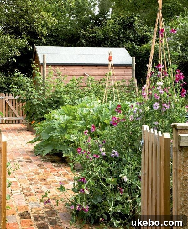Moroccan Potager Vision: Phase One Blueprint 9 Ornamental Garden Pathways