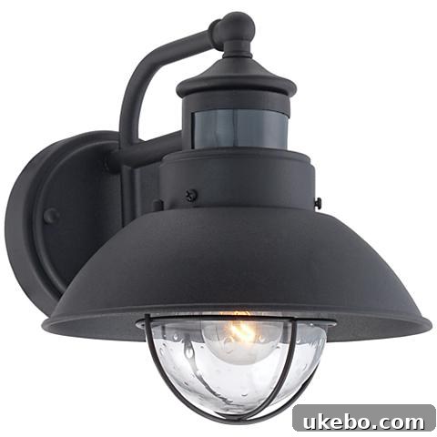 Fallbrook 9 inchh Black Dusk to Dawn Motion Sensor Outdoor Light