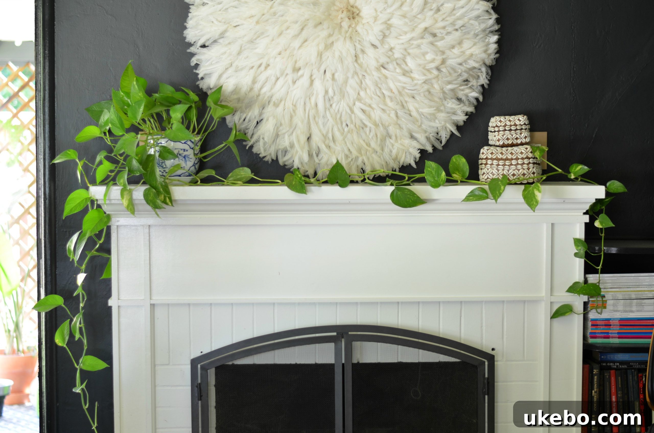 My Top Picks: Foolproof Plants for Beginner Success 6 Close-up of Pothos leaves, showcasing their vibrant green and variegated patterns.