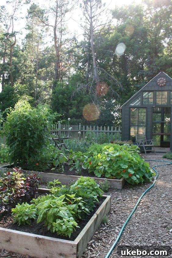 Inspiring kitchen garden layout with raised beds leading to a greenhouse