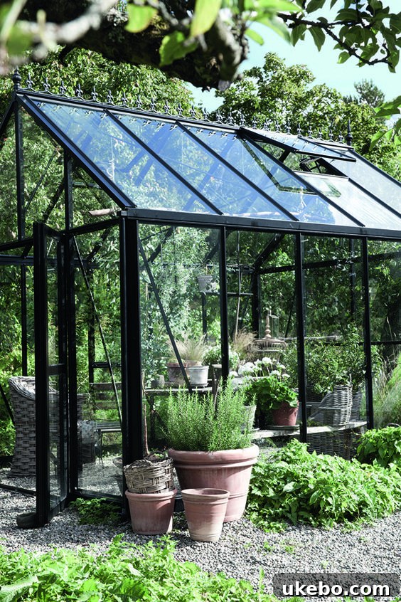 Elegant black framed greenhouse with clear glass panels