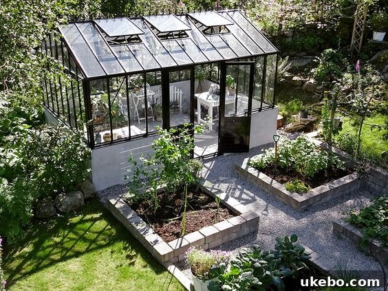 Modern black framed greenhouse showcasing interior plants