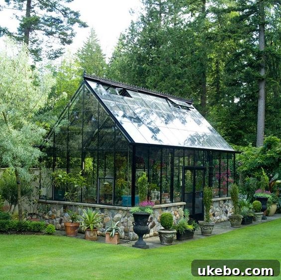 Stylish black greenhouse as a garden centerpiece