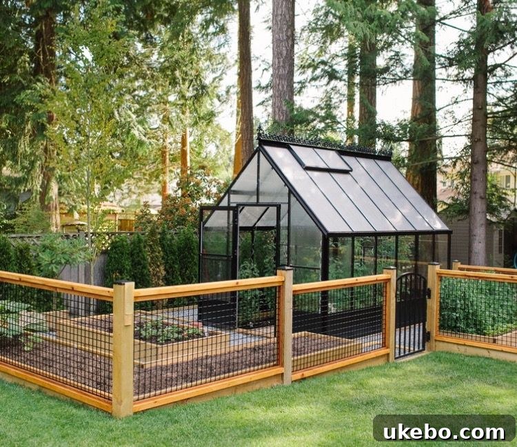 Chic black frame greenhouse with potted plants