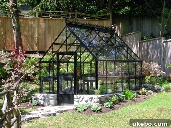 Compact black greenhouse in a vibrant garden setting
