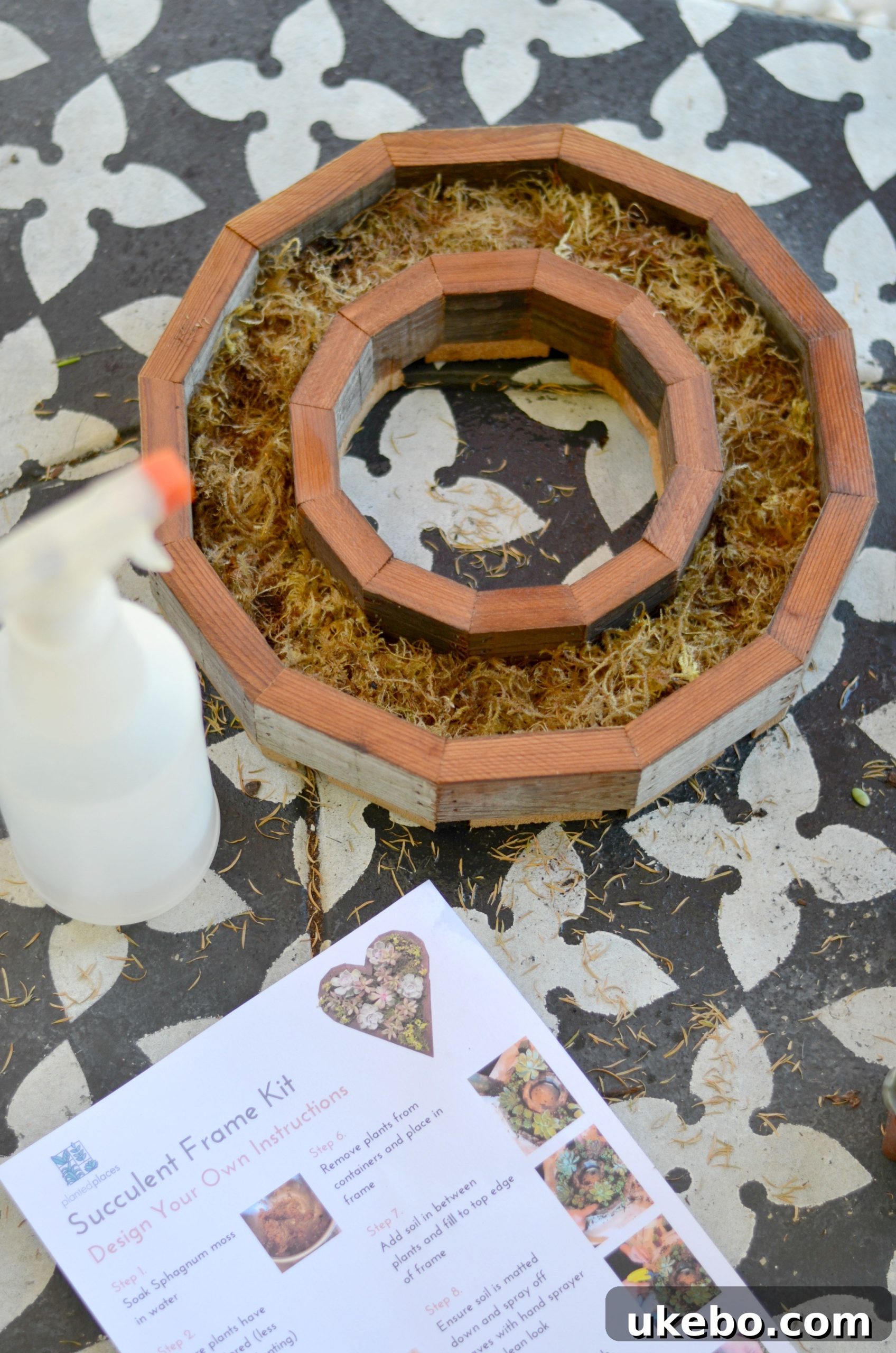 Spraying moss with a water bottle to prepare it for the succulent wreath planter.