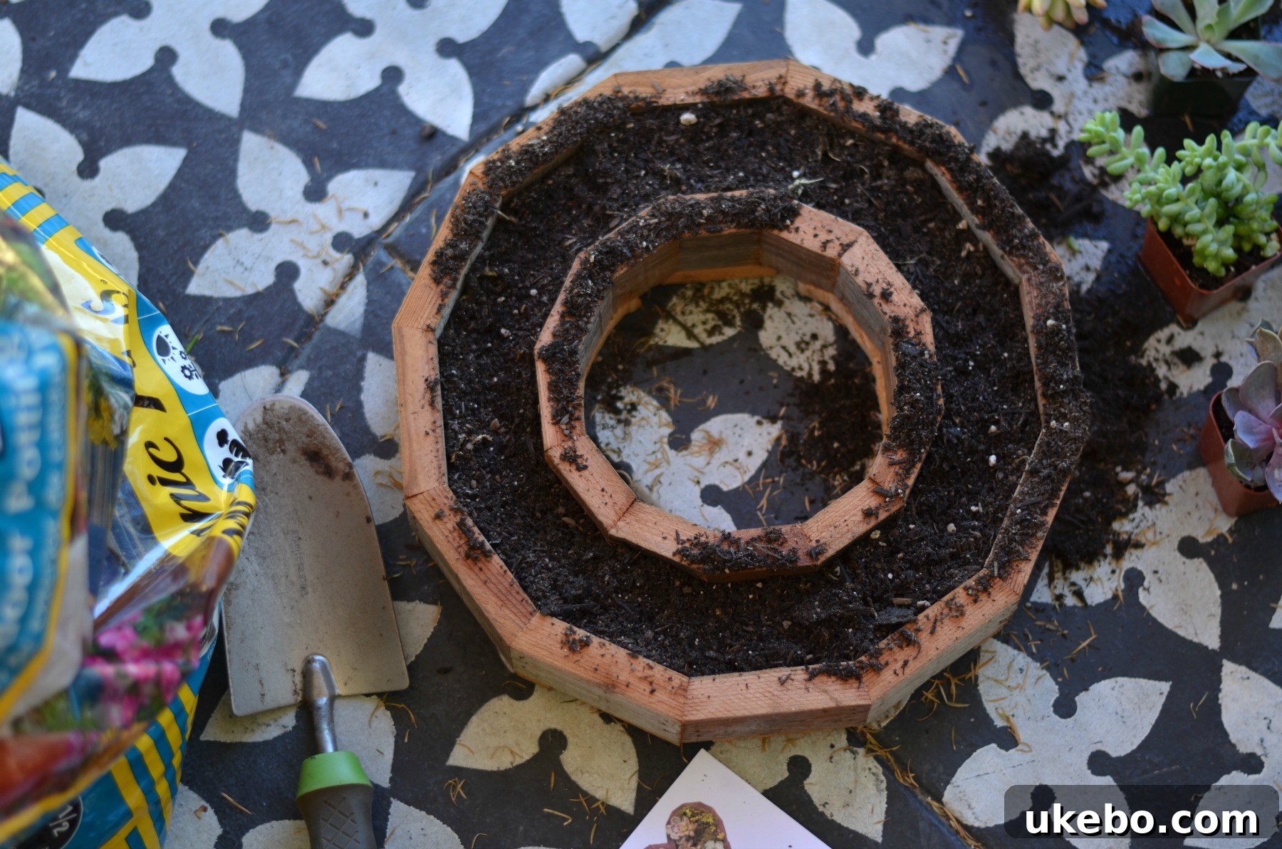 Filling the succulent wreath frame with organic potting soil on top of the pre-soaked moss.