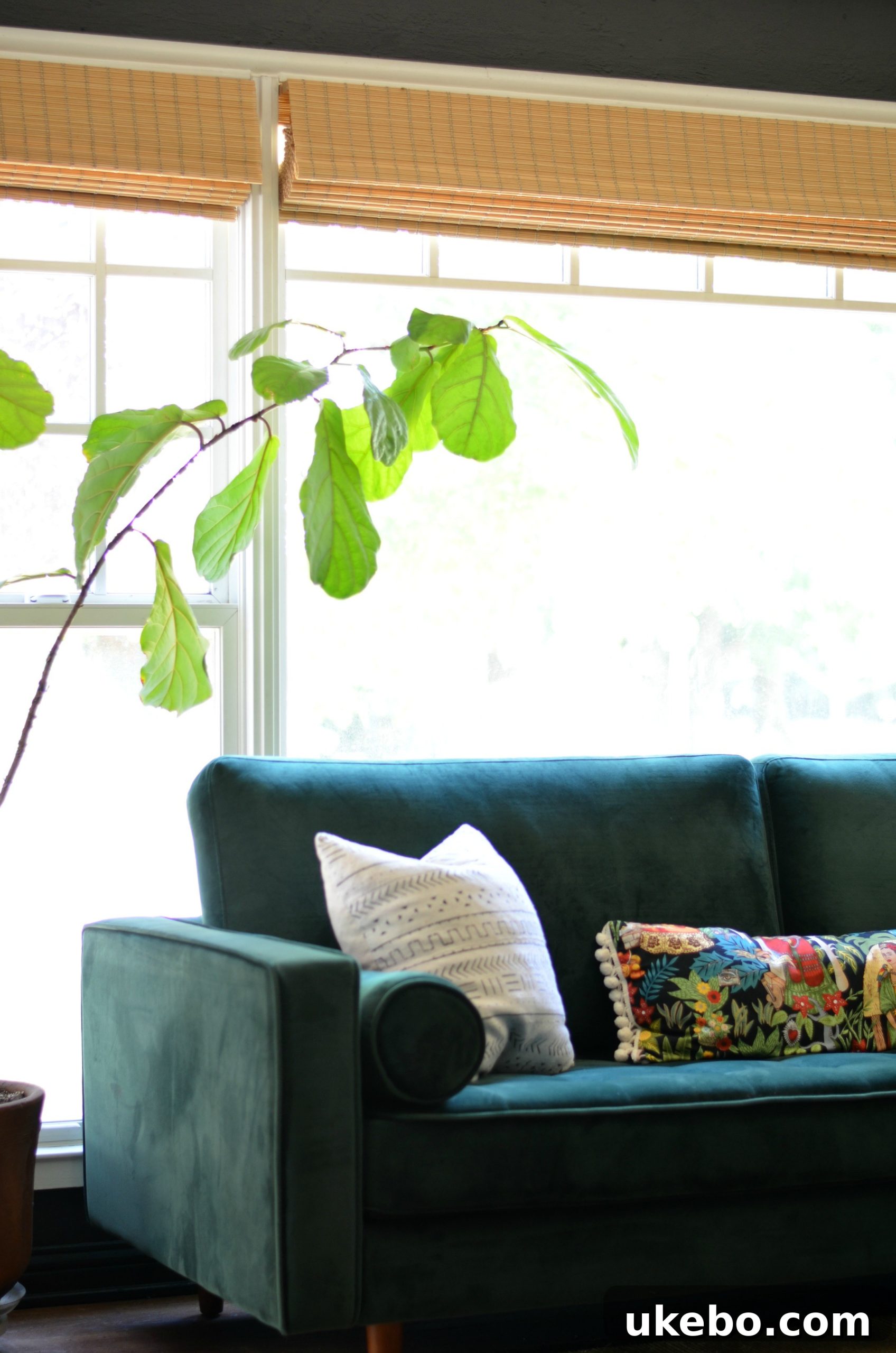 Feather velvet sofa in a living room with patterned rug