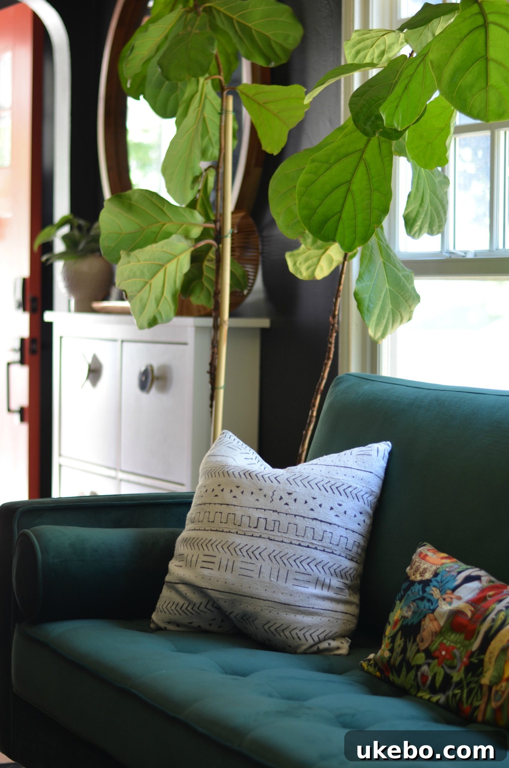 Stylish Feather velvet sofa with decorative pillows and artwork