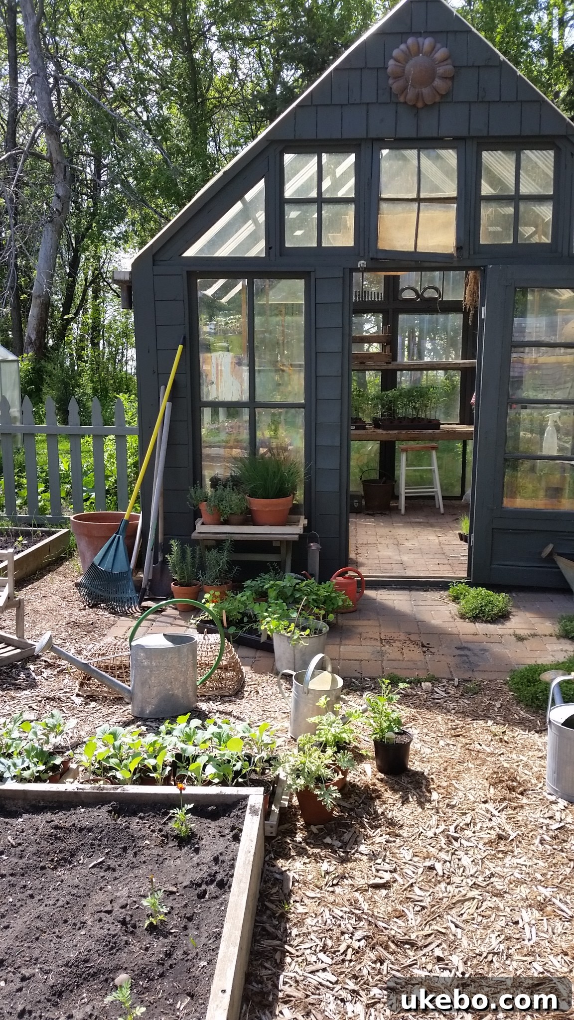 Charming small garden greenhouse