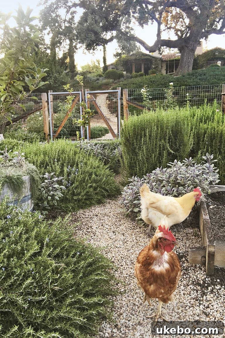 Cozy chicken coop in a garden setting