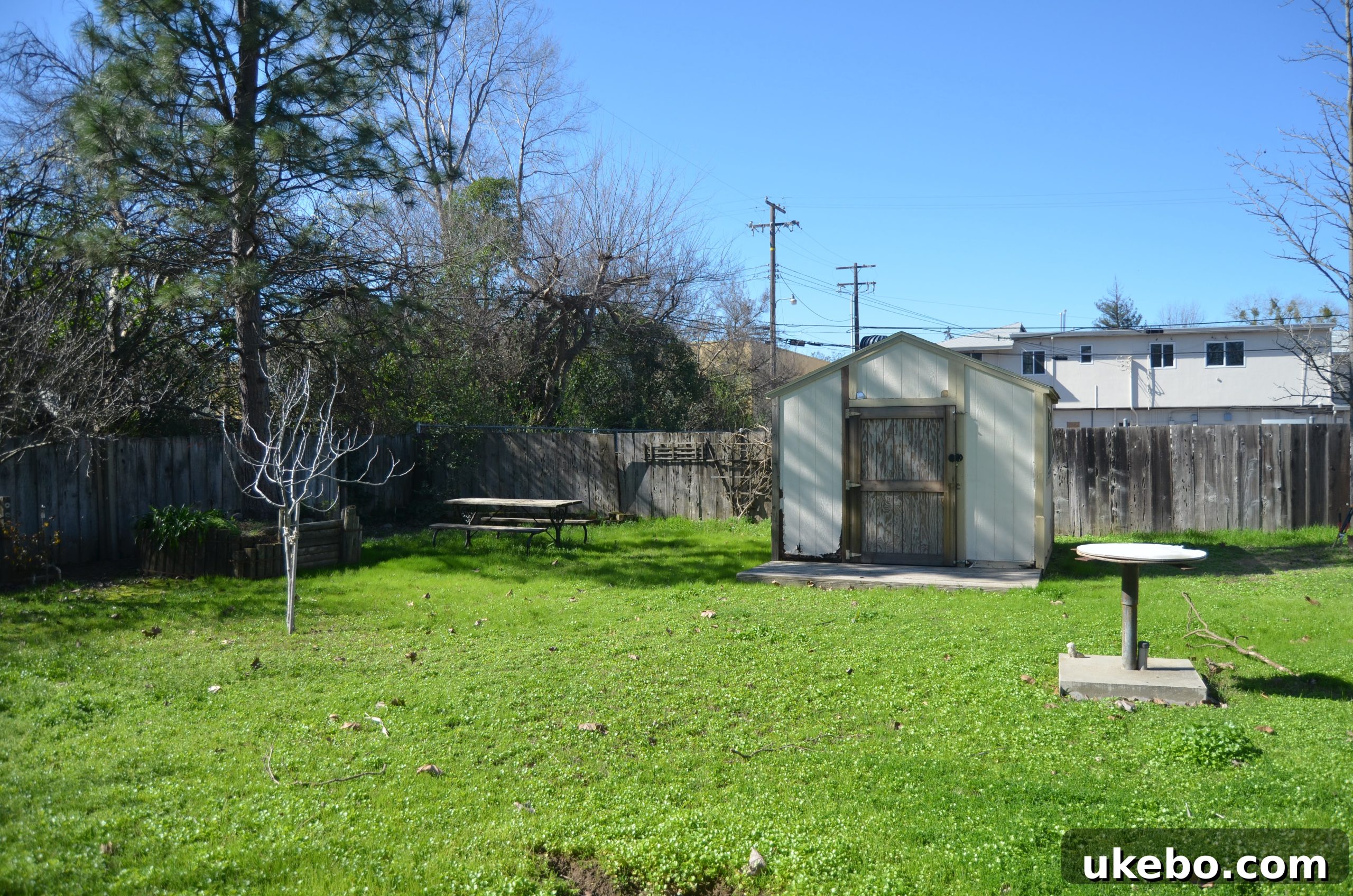 Before photo of the garden area with old fence and garage