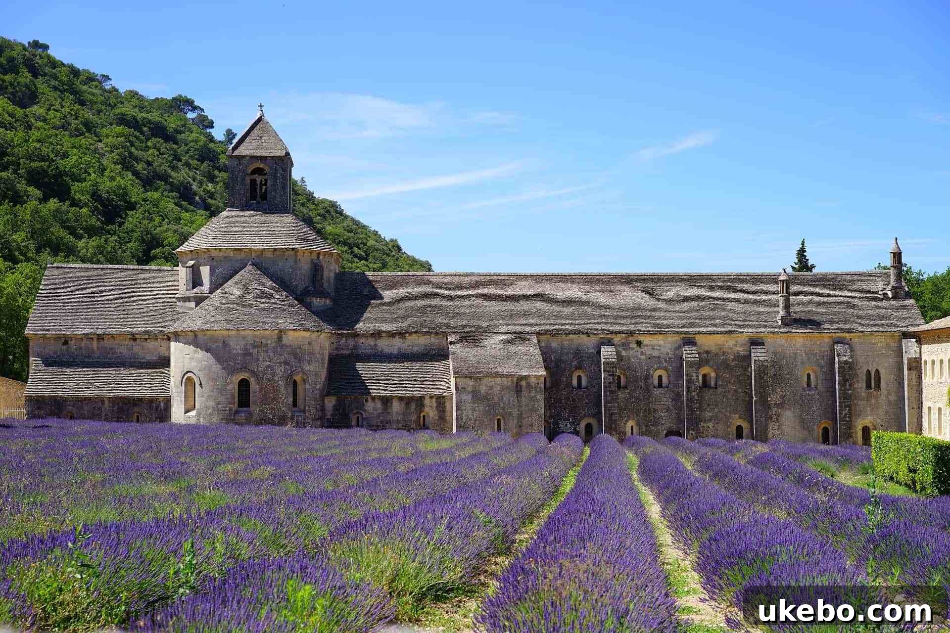 The Cottage Potager A Guide to Perfect Placement and Inspired Design 11 Inspiration photo of lavender fields