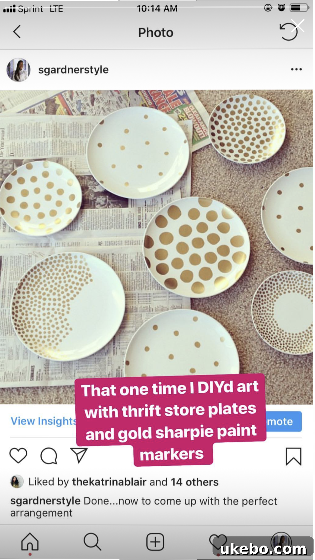 Reclaiming Our Digital Domain 4 Polka Dot Plate Art Project