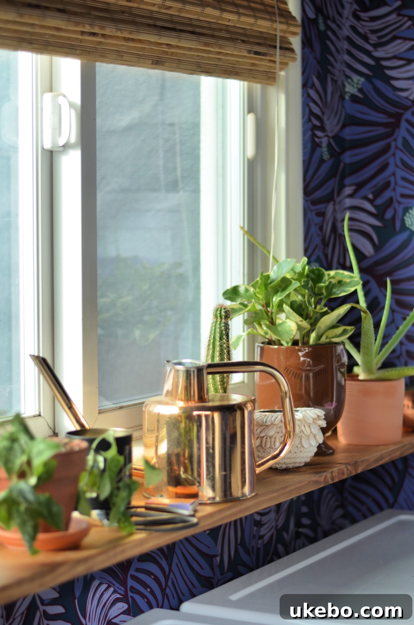 Newly installed Golden Oak shelves in the laundry room, beautifully decorated with plants and decor.