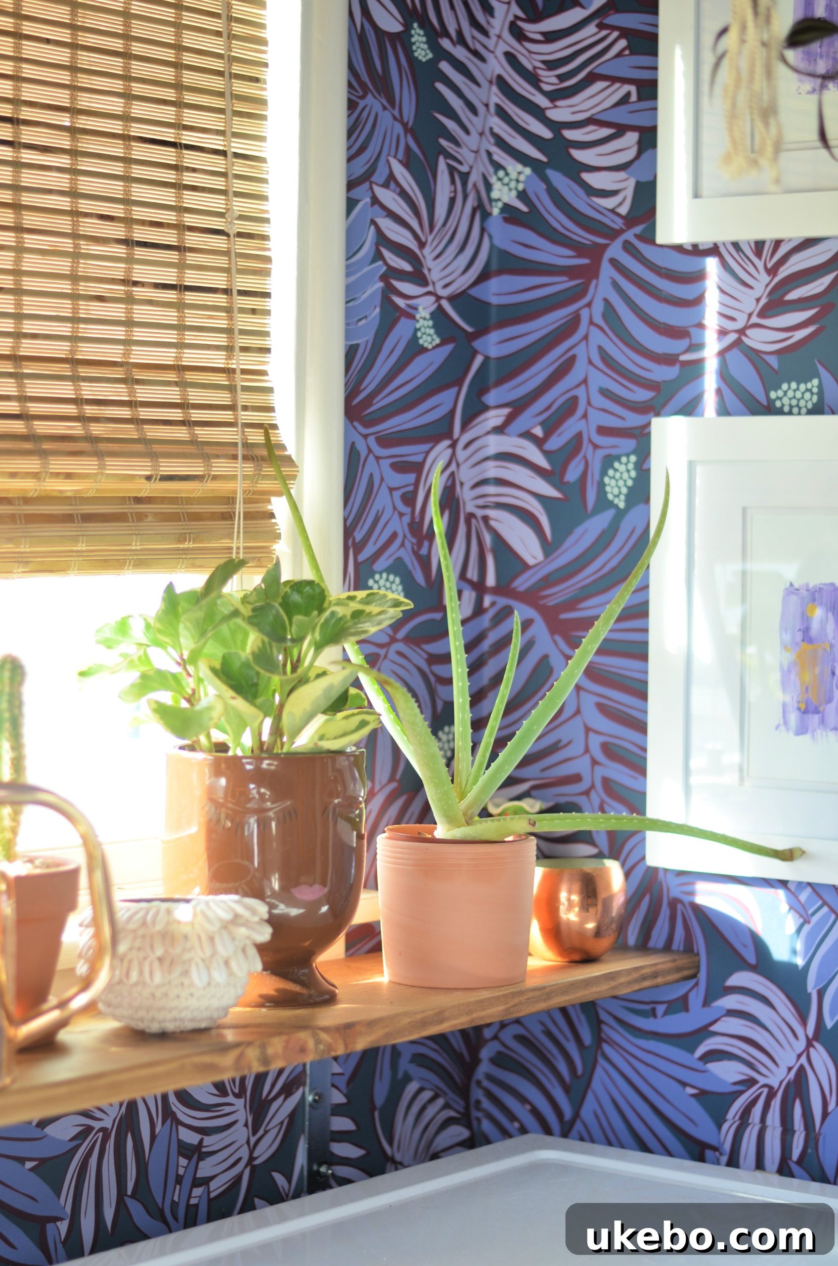 Another view of the functional shelves, showcasing organized items and thriving greenery.