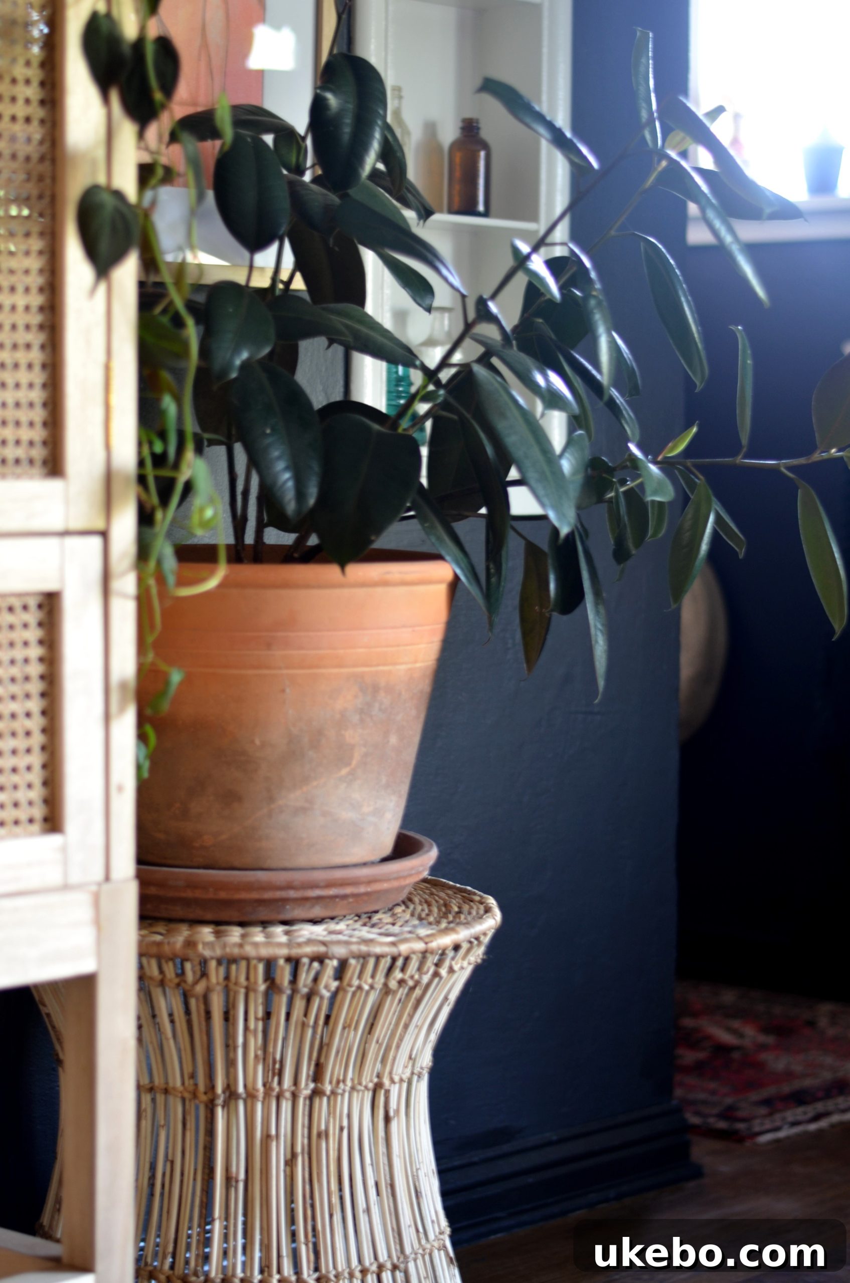 Close-up view of the Holly & Martin Hyacinth accent table, highlighting its woven texture and quality craftsmanship.
