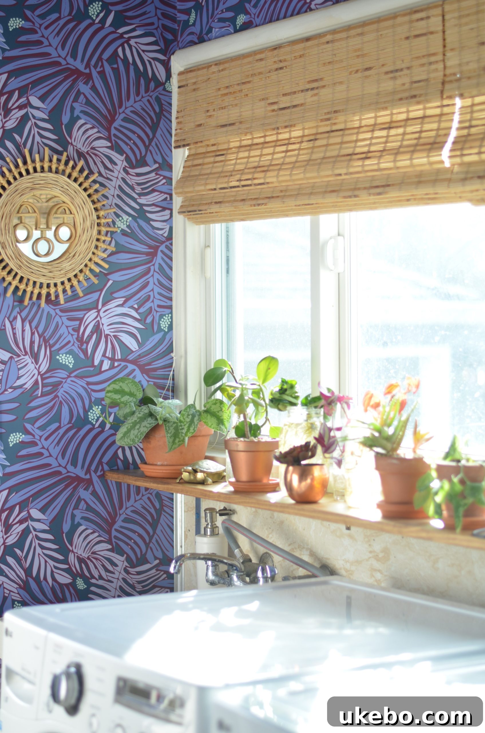 Laundry room with plant shelf under window