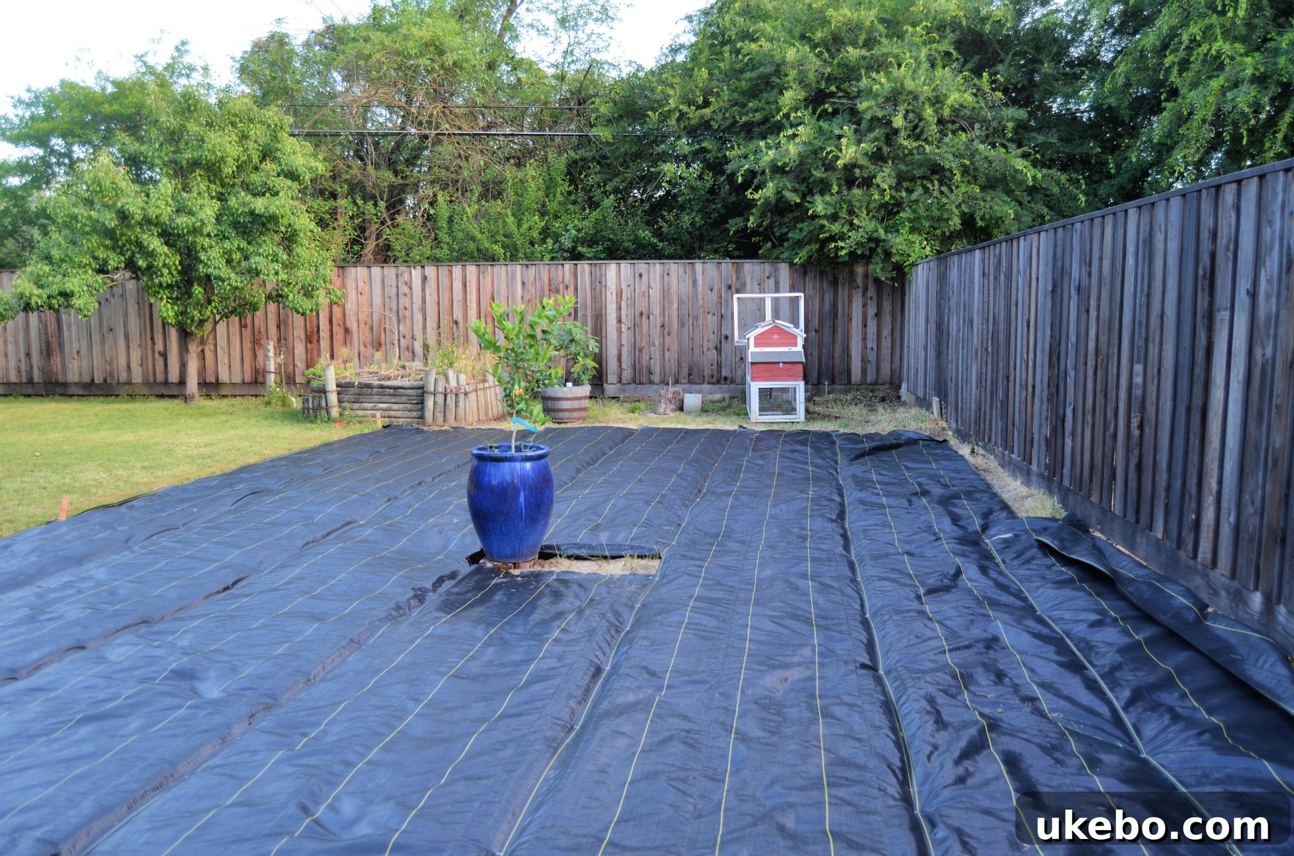 Another view of the installed weed barrier
