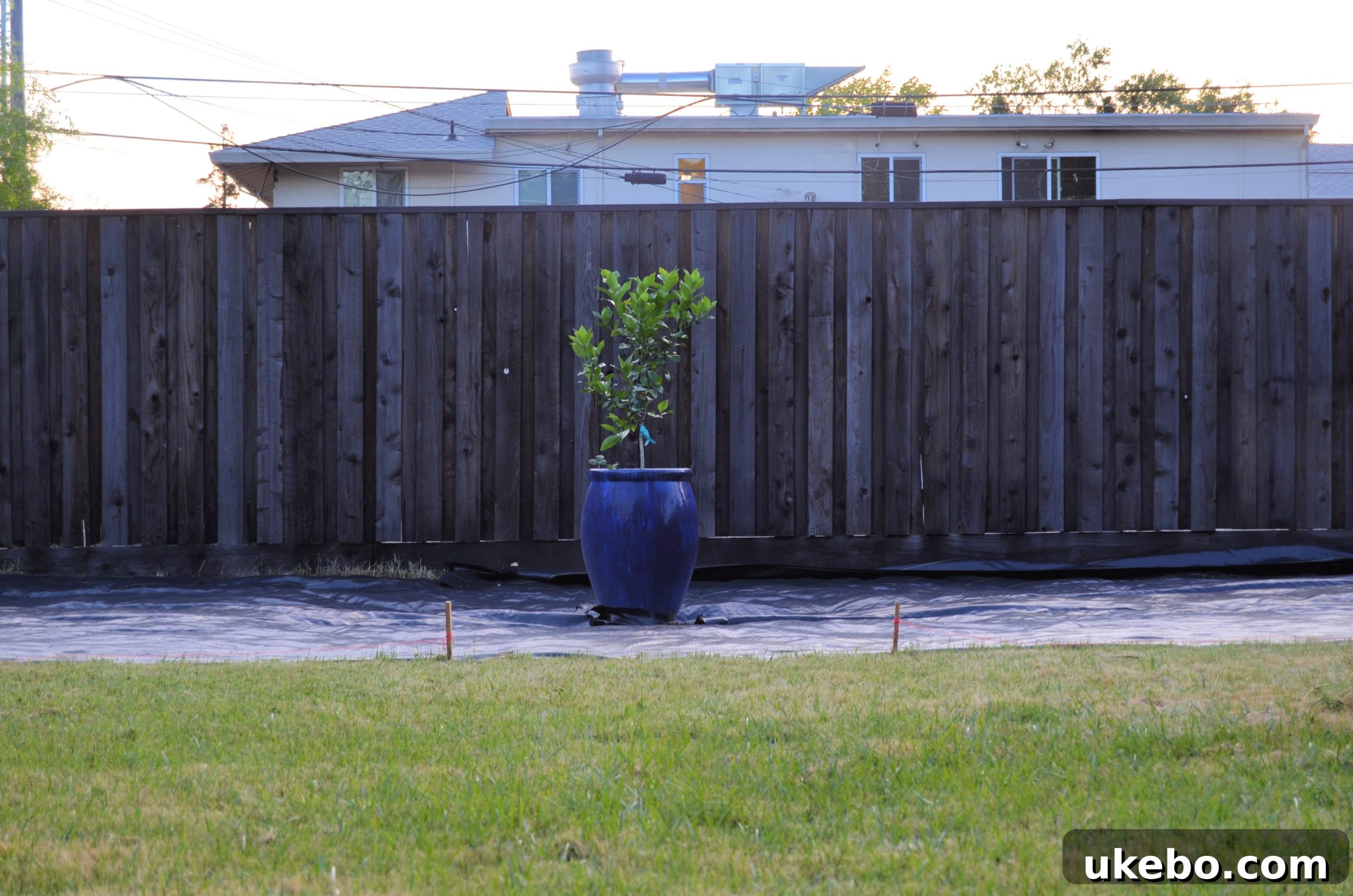 Weed barrier extends to the garden edges