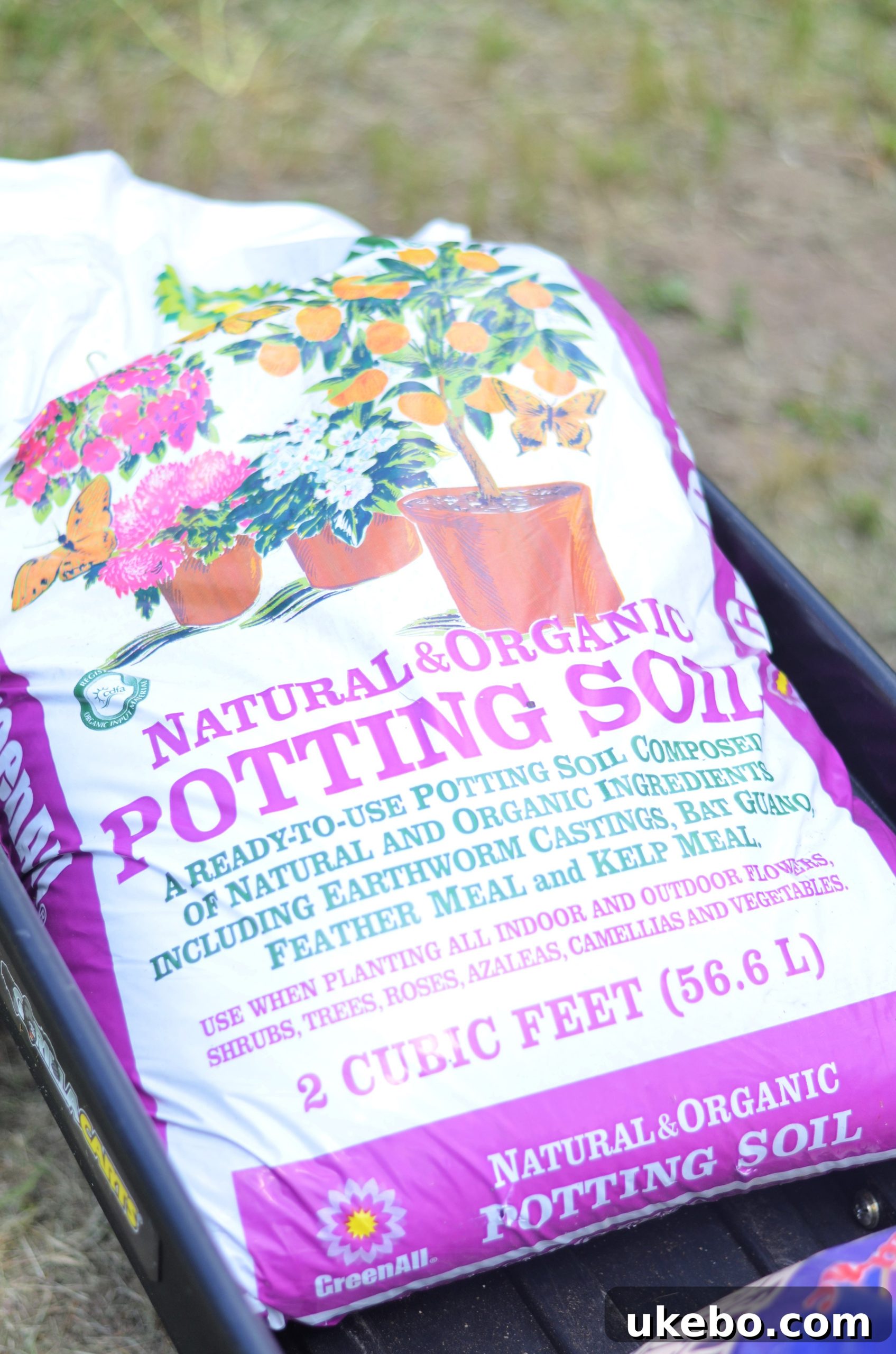 Garden supplies, including lemon tree, soil, and strawberries