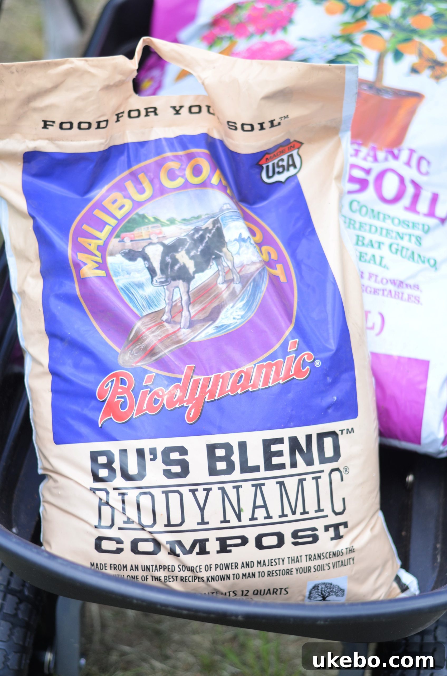 EB Stone Potting Soil