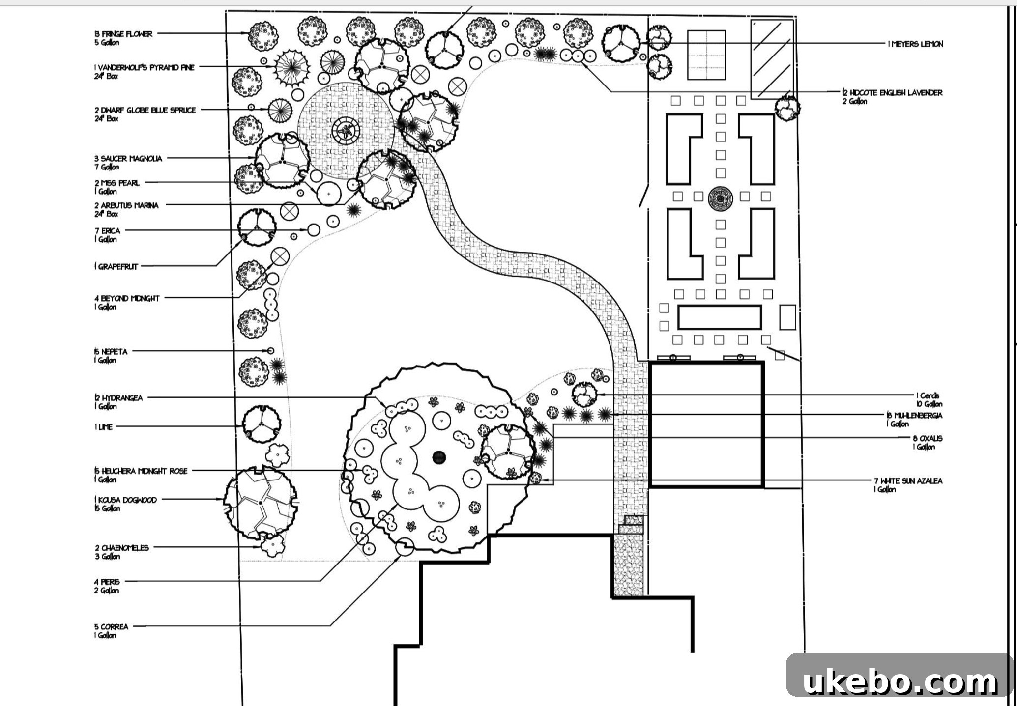 Landscape design sketch for the new fire pit area