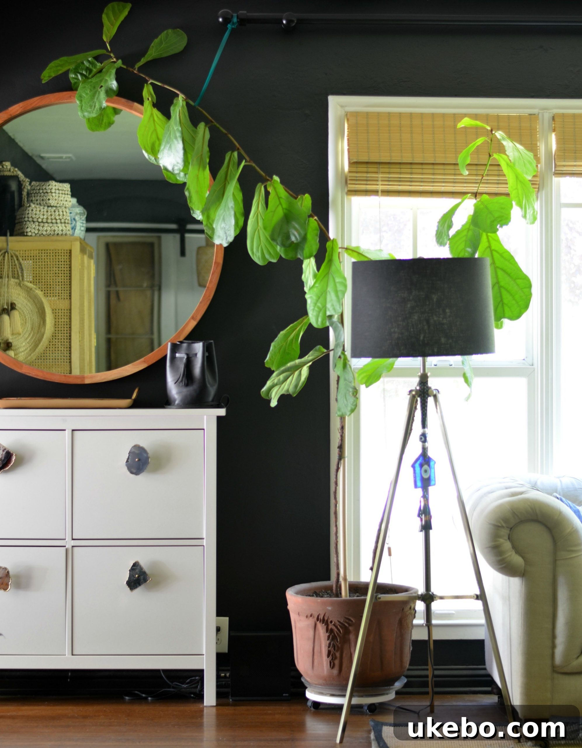 Two images side by side: a HEMNES shoe cabinet in a brightly lit entryway with coat hooks above, and another in a cozy, styled space.