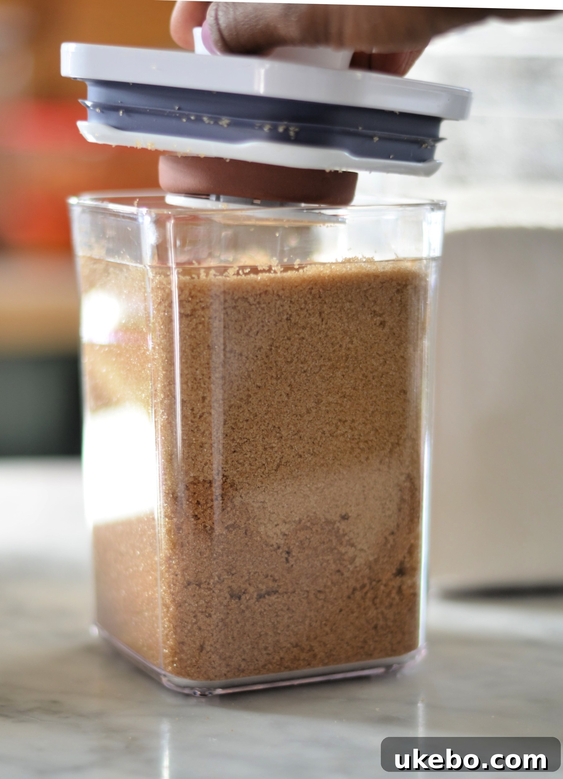 Another view of the brown sugar saver accessory within an OXO POP container