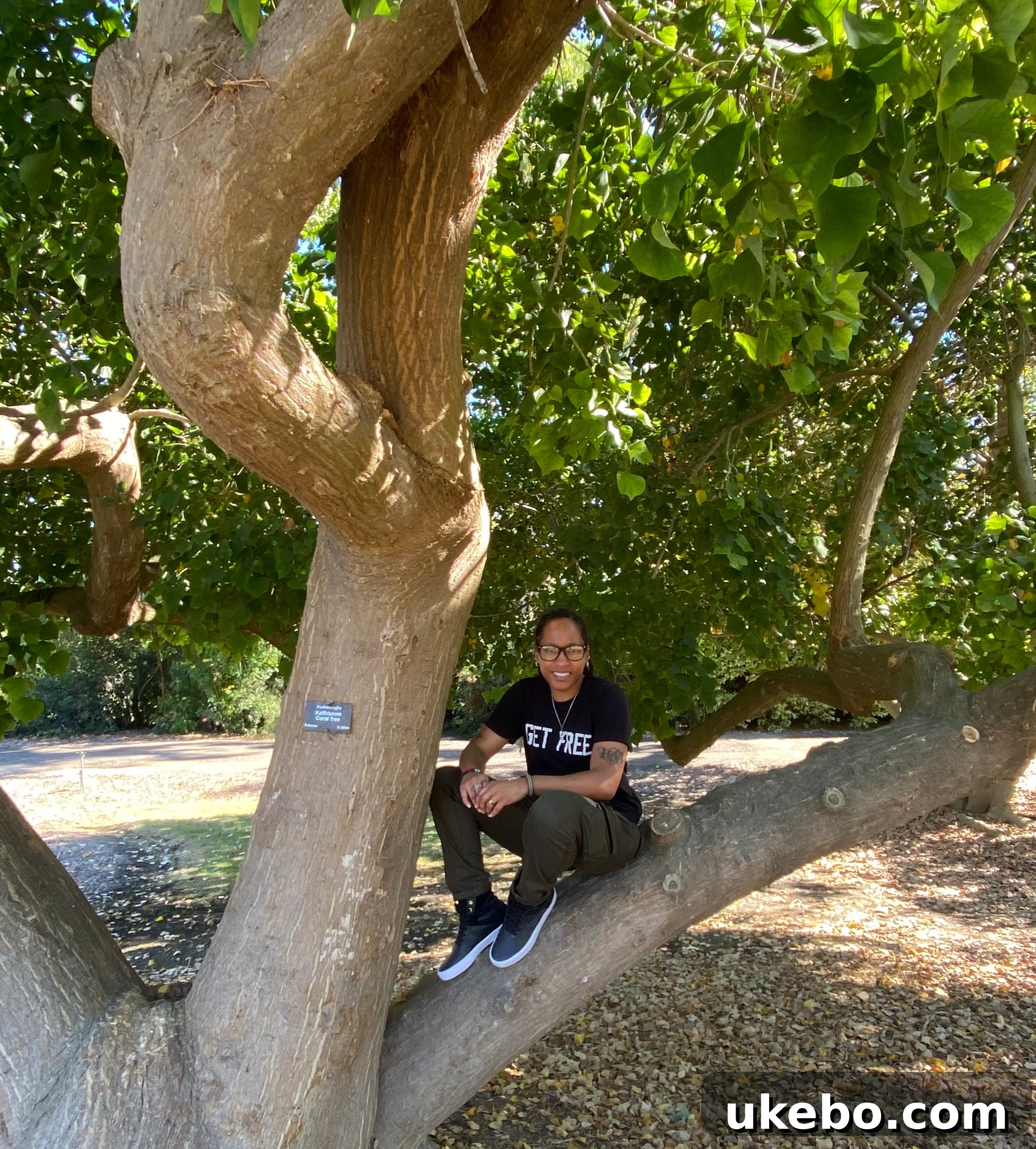 Close-up of Naomi interacting with a large tree in the botanic garden.