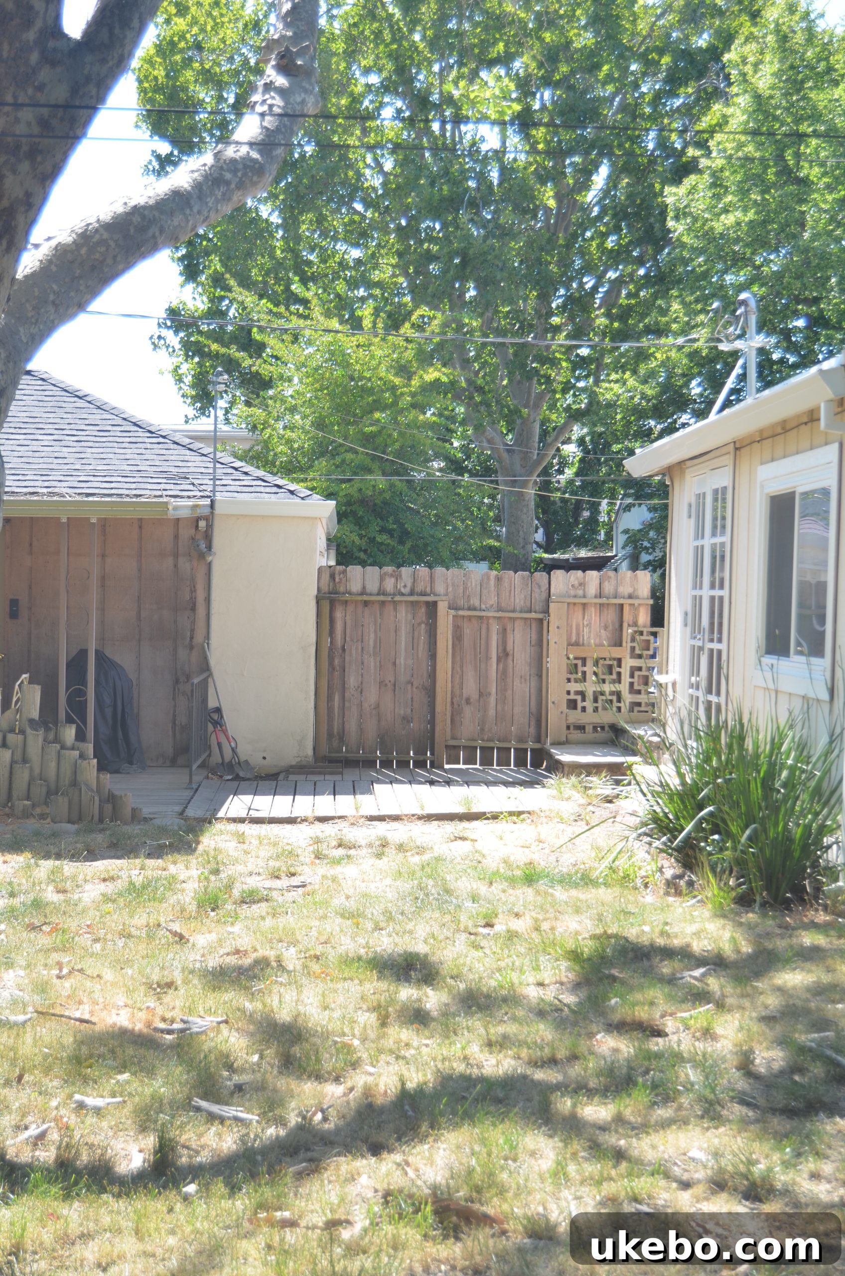 Vertical shot of the neglected backyard, revealing its unkempt and uninviting nature