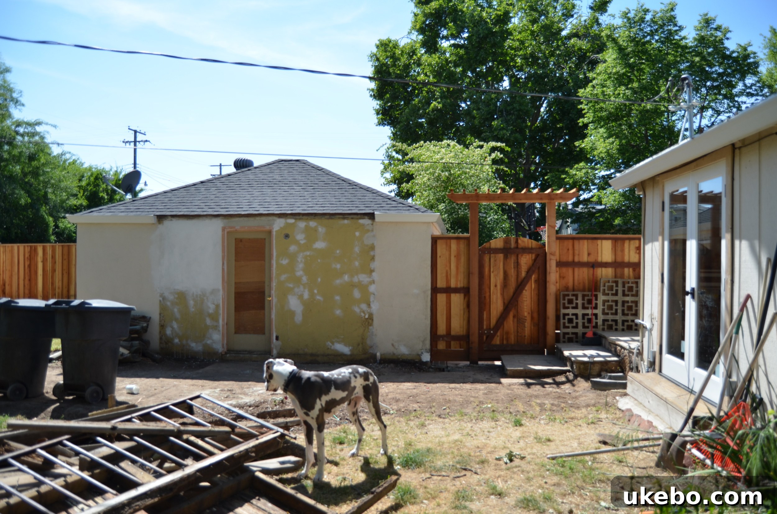Cleaned up backyard with a freshly painted house exterior, providing a crisp backdrop