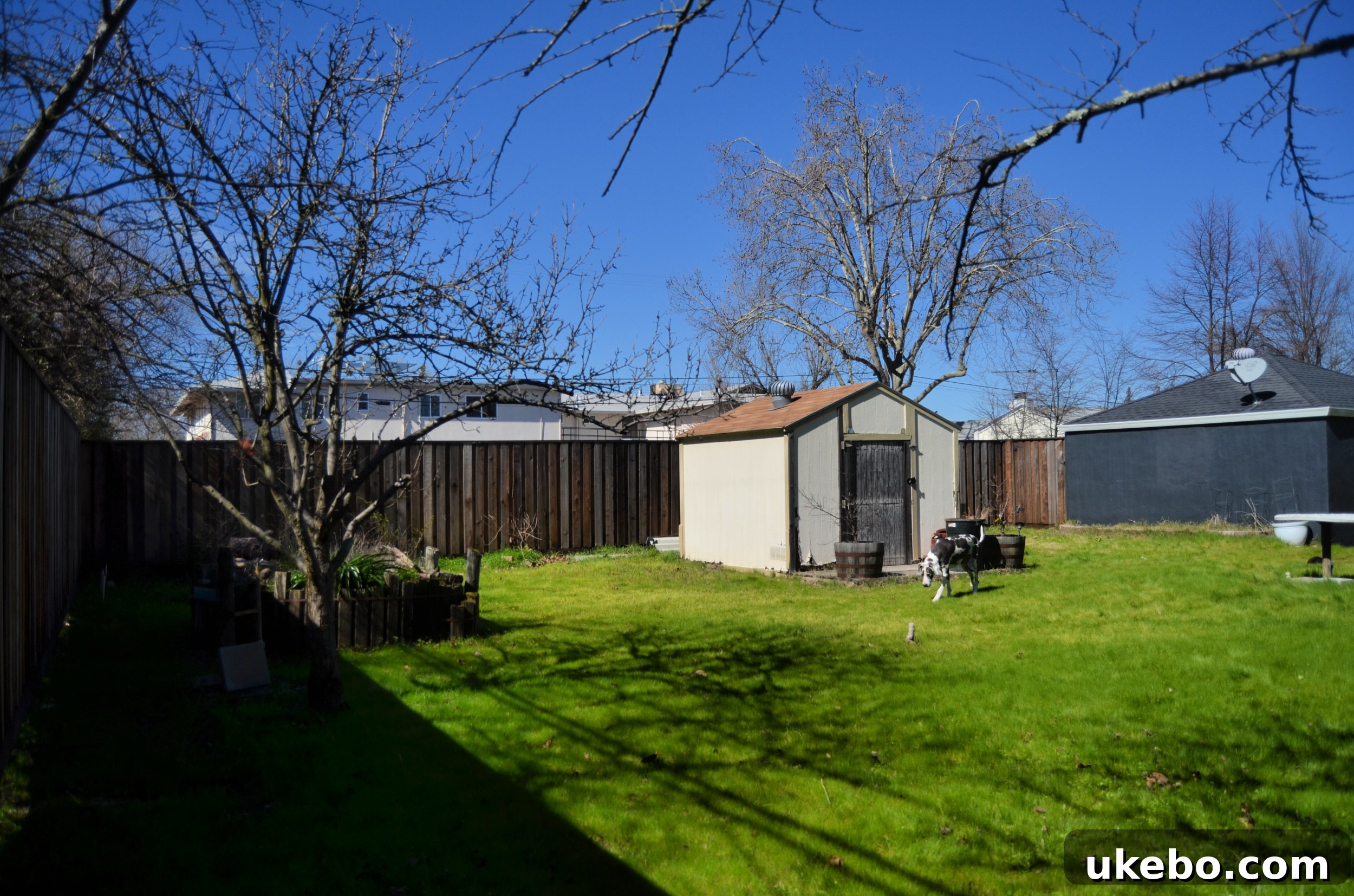 Backyard with new electrical infrastructure and a much clearer, open view