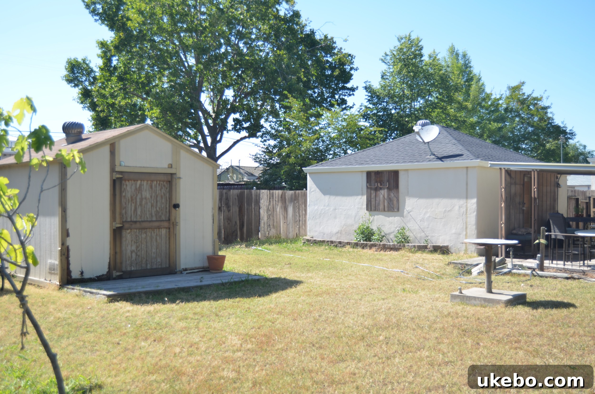 Backyard showing an aging fence, cluttered corners, and overgrown areas