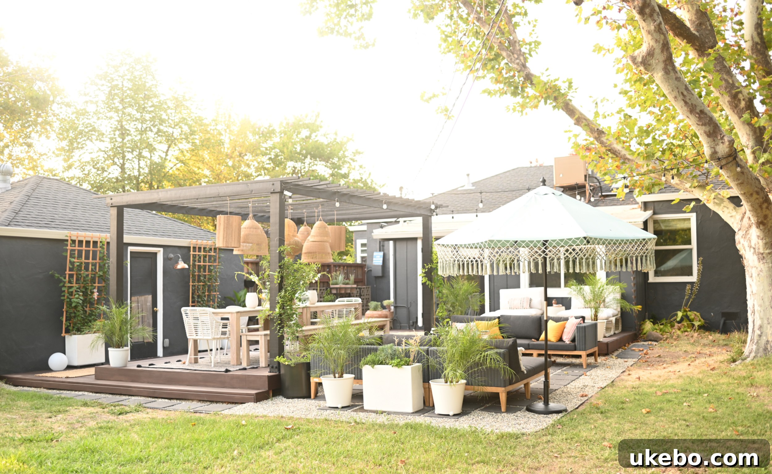 Stunning sycamore tree anchoring the backyard design