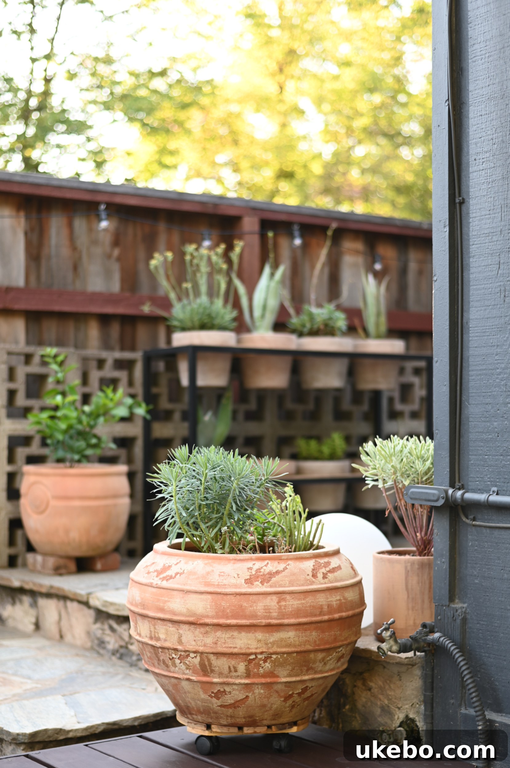 Planters and decorative elements
