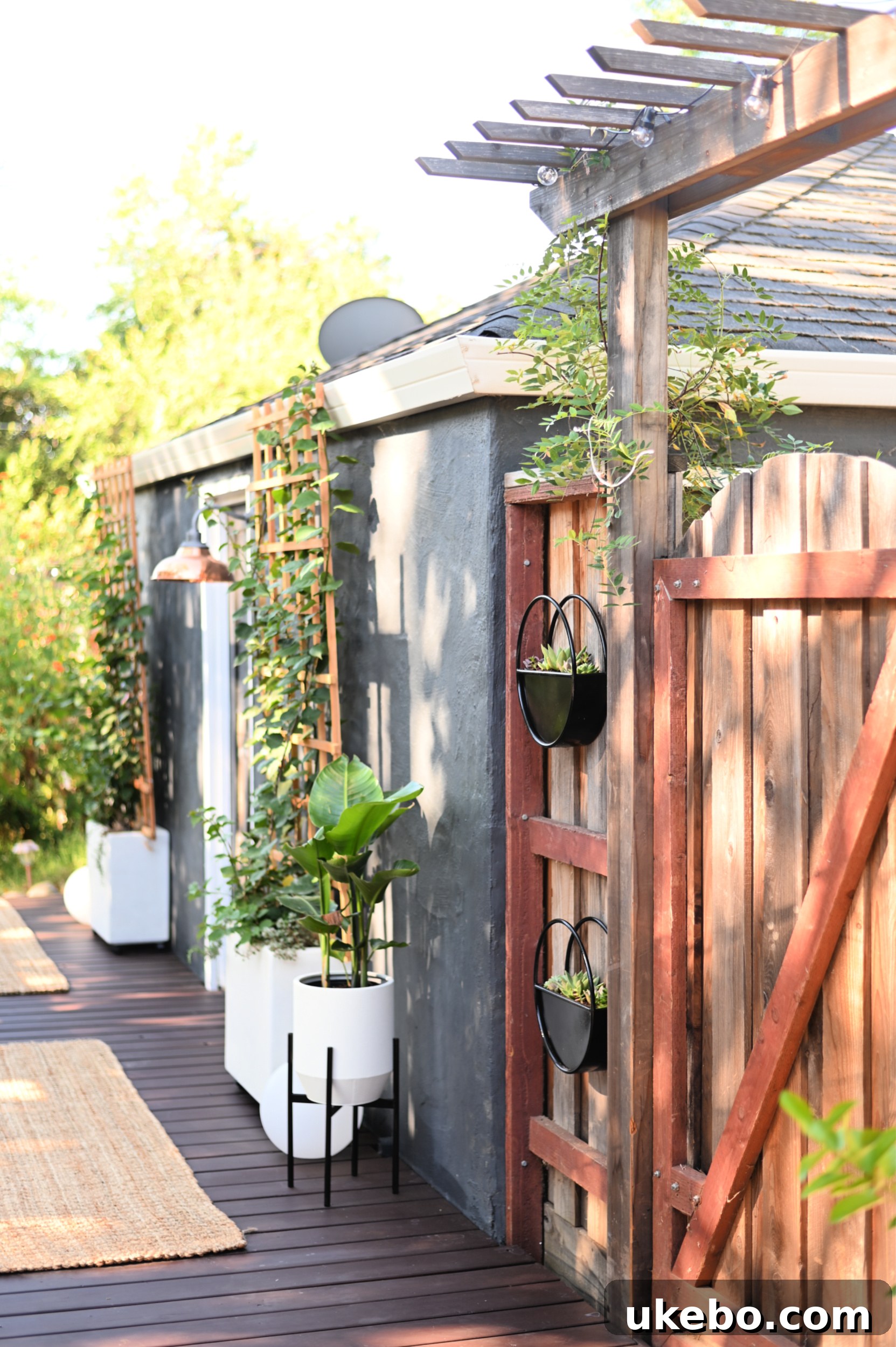 Bougainvillea trellis and jute rug