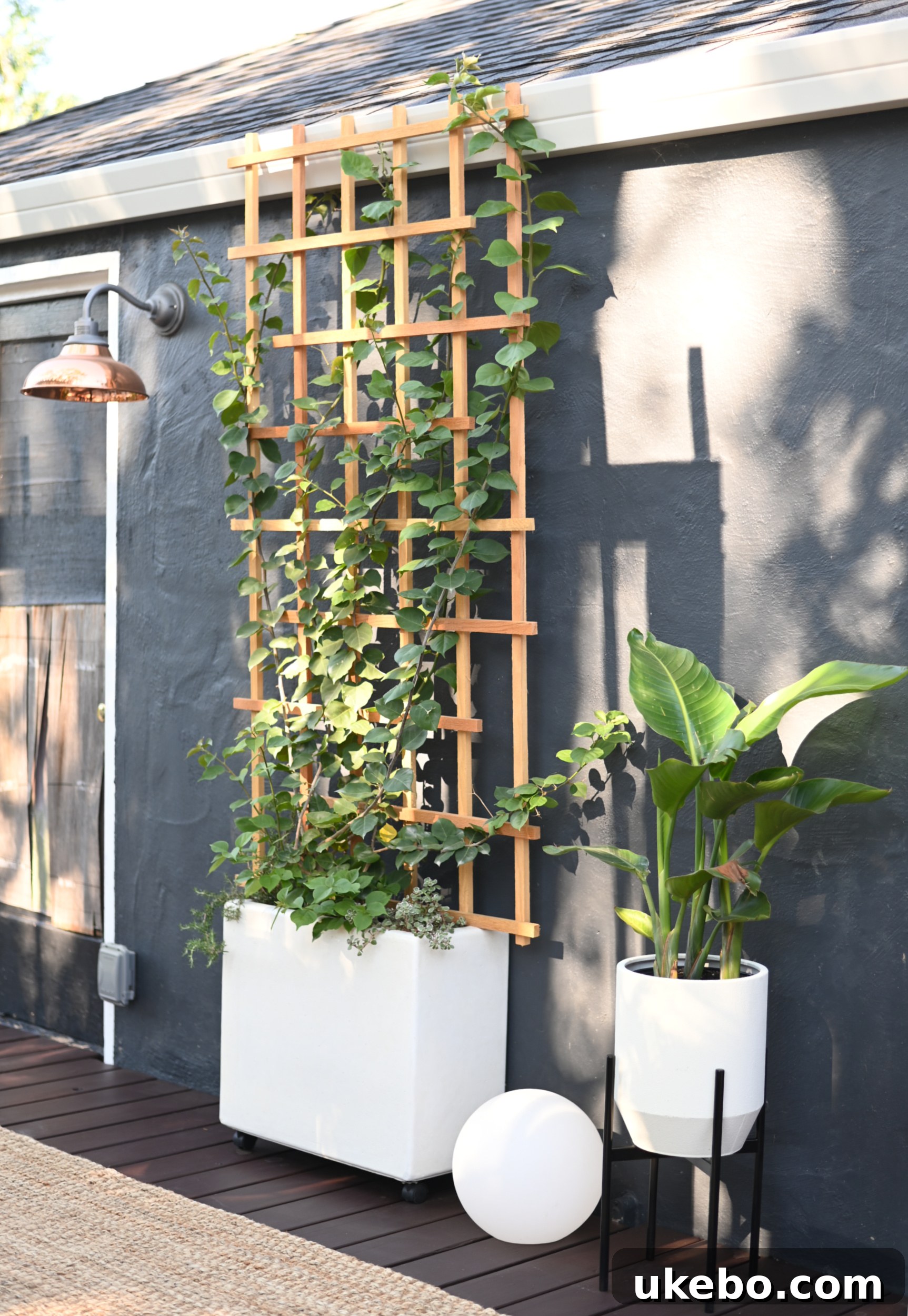Outdoor decor with plants and textiles