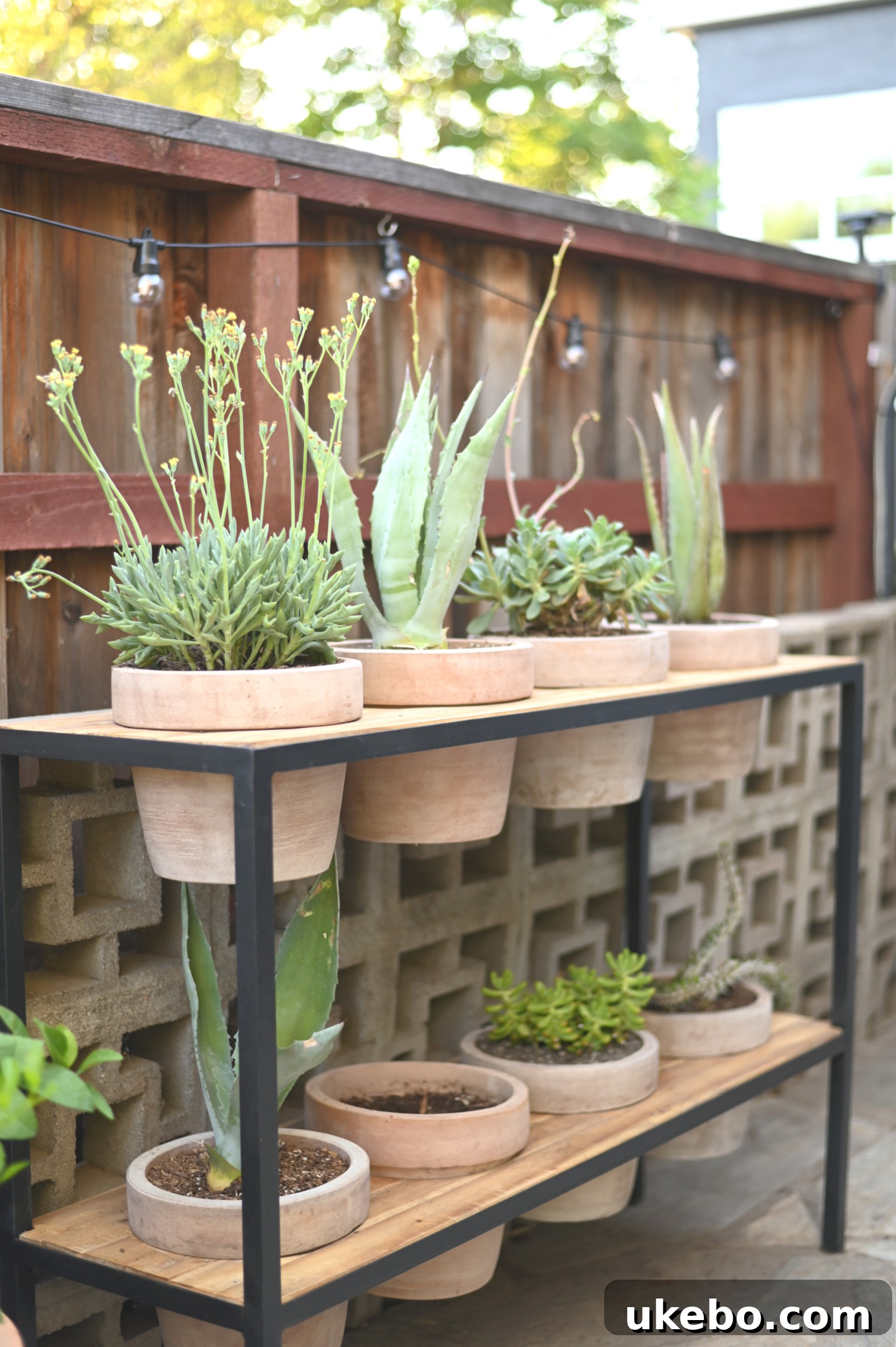 Another view of the succulent wall