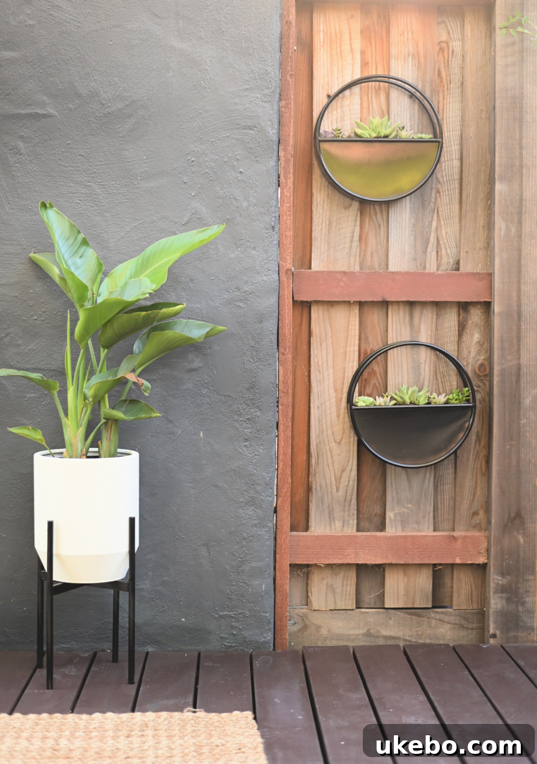 Galvanized wall planters with succulents