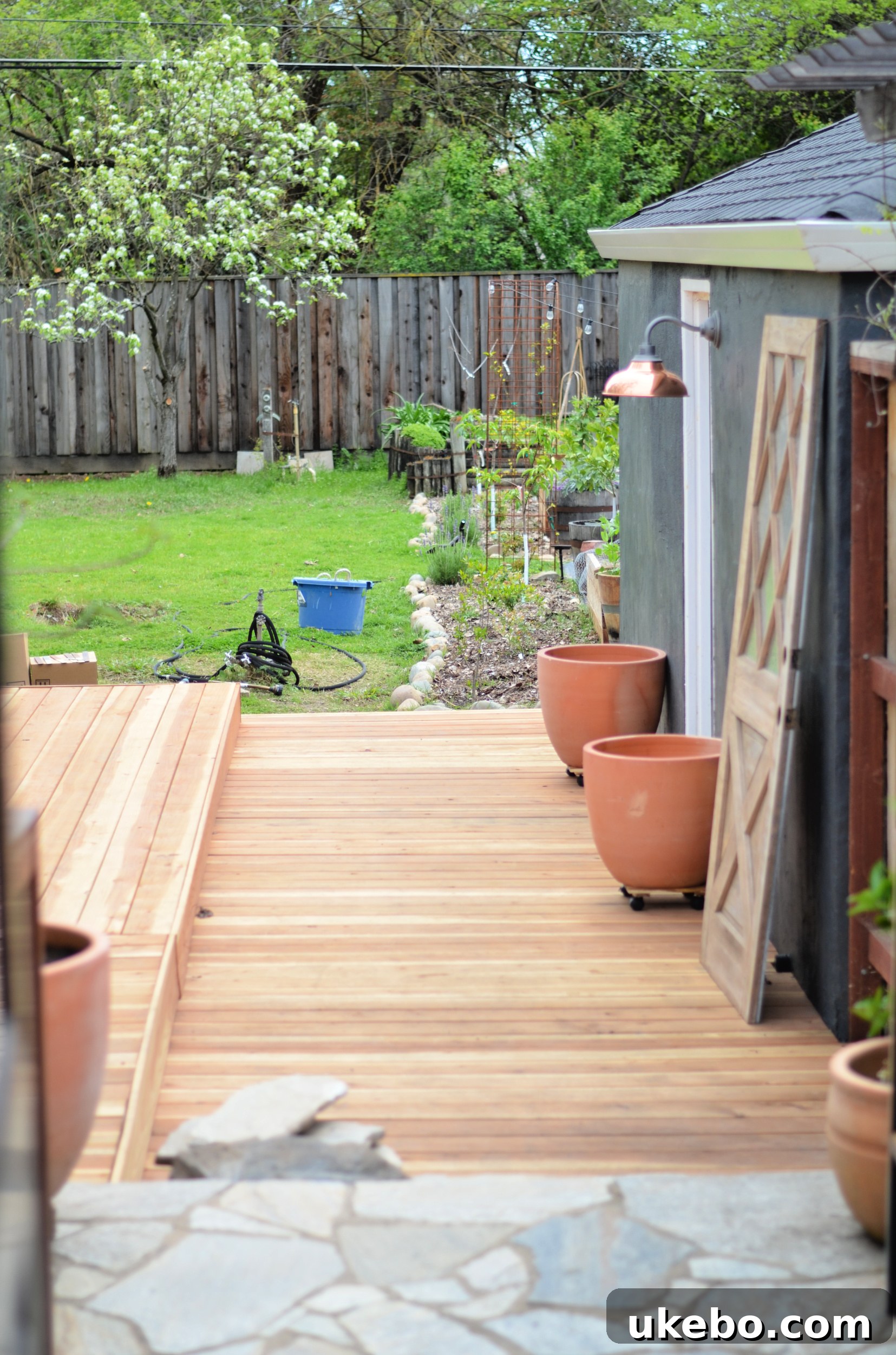 Another view of the overgrown backyard space