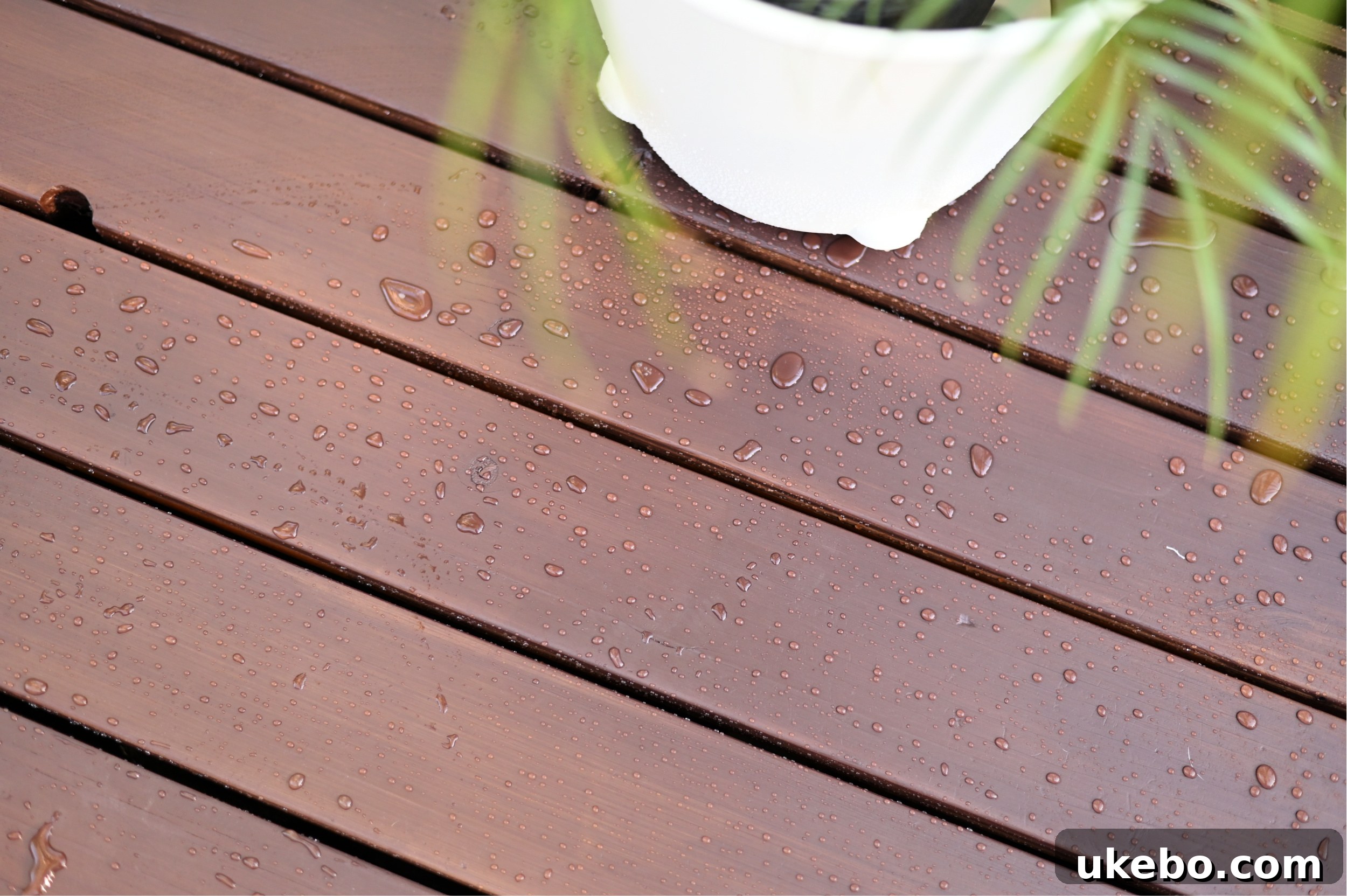 Water beading up on the freshly stained deck